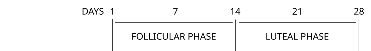 Screenshot 2025-12-13 at 10.18.40.png