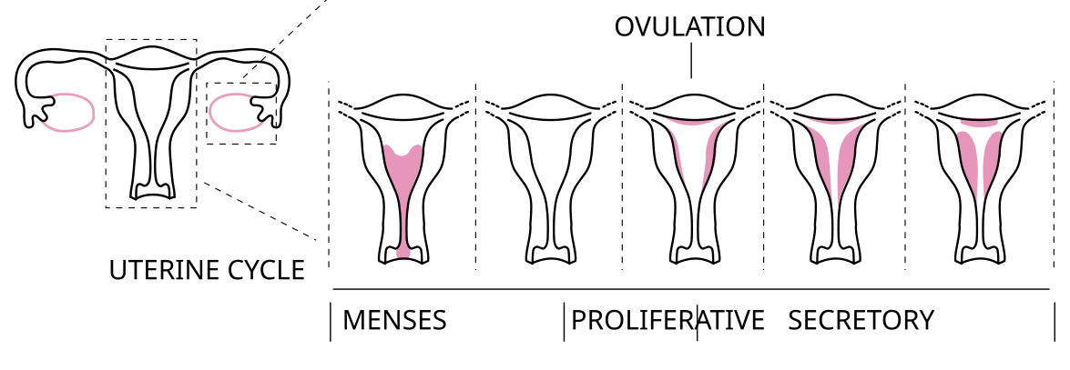 Screenshot 2025-12-13 at 10.18.08.png