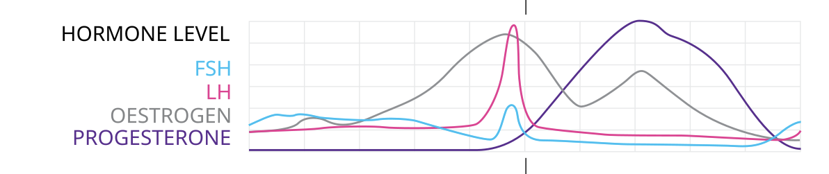 Screenshot 2025-12-13 at 10.19.10.png